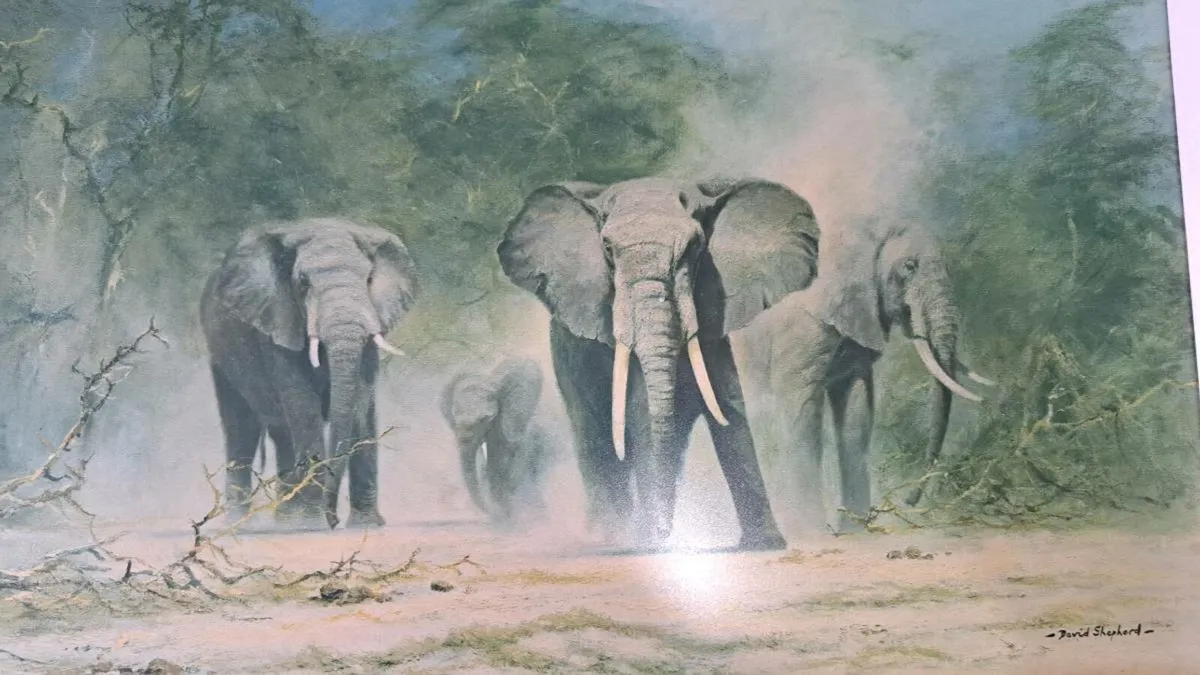 David Shepard elephant print Framed - Image 1