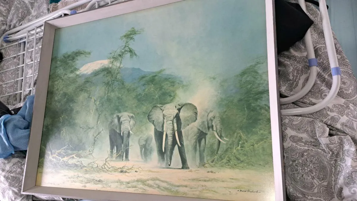 David Shepard elephant print Framed - Image 2