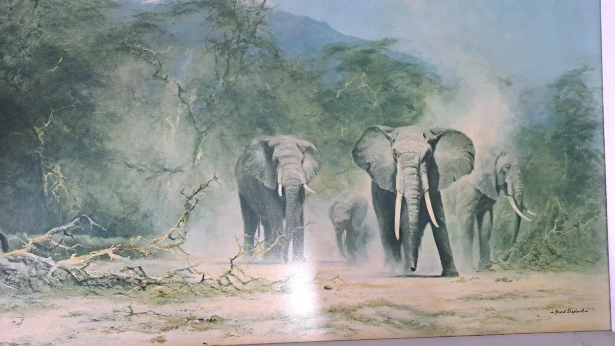 David Shepard elephant print Framed - Image 3