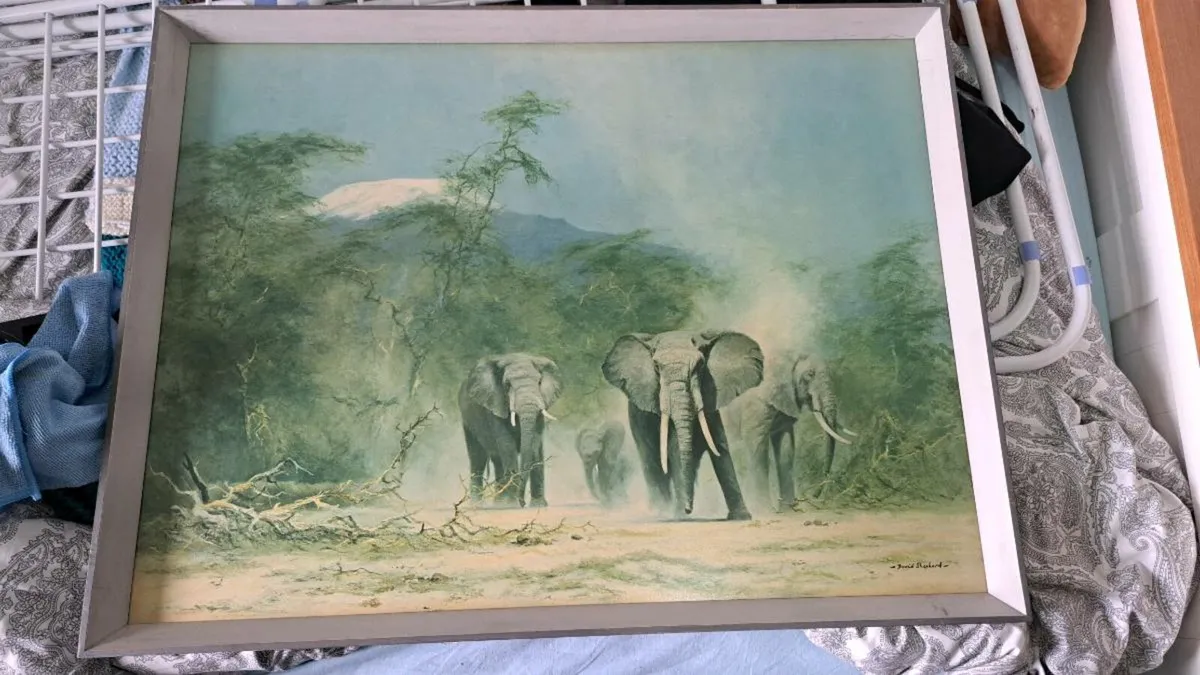David Shepard elephant print Framed - Image 4
