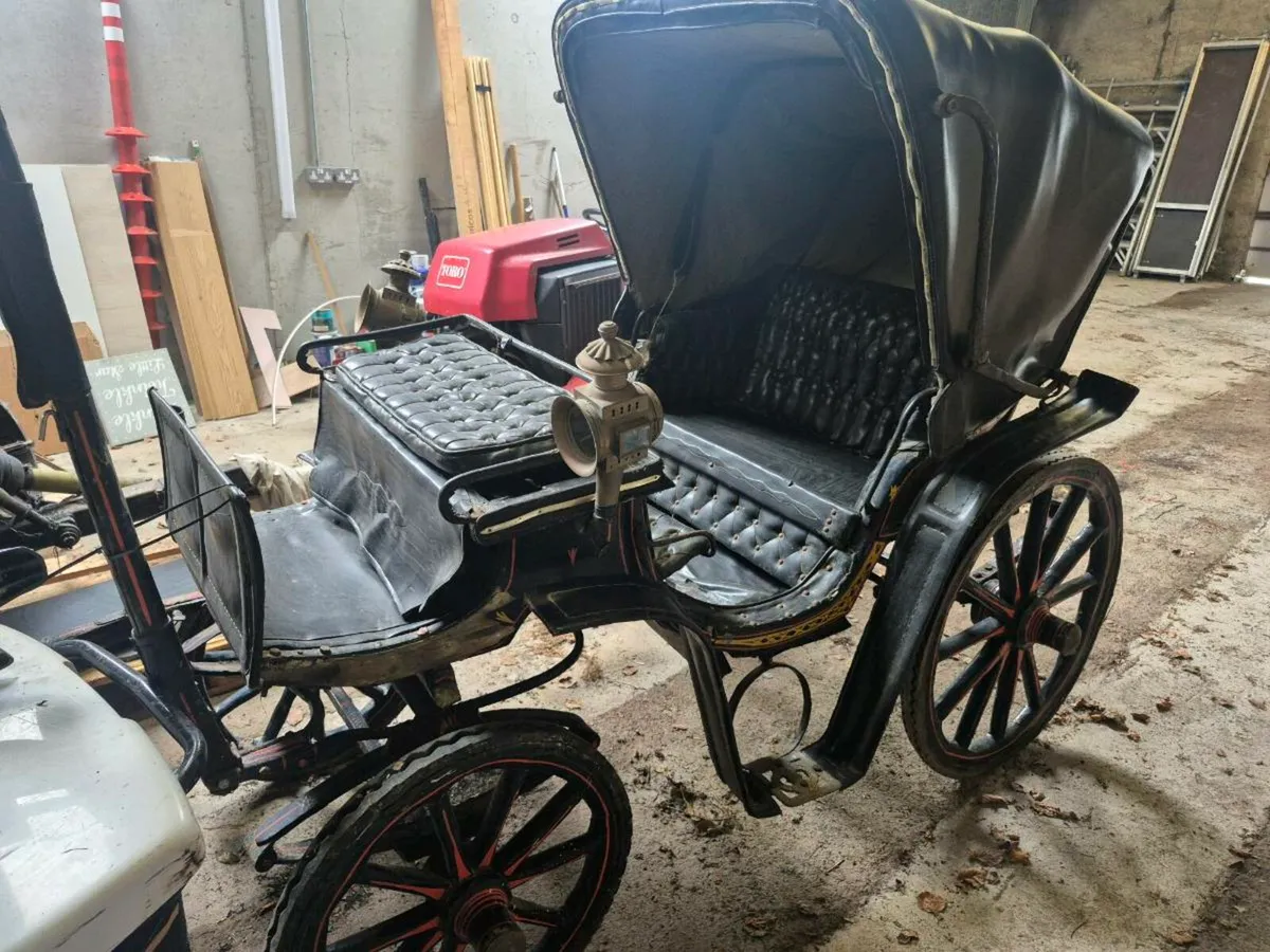 Carriage - Image 2