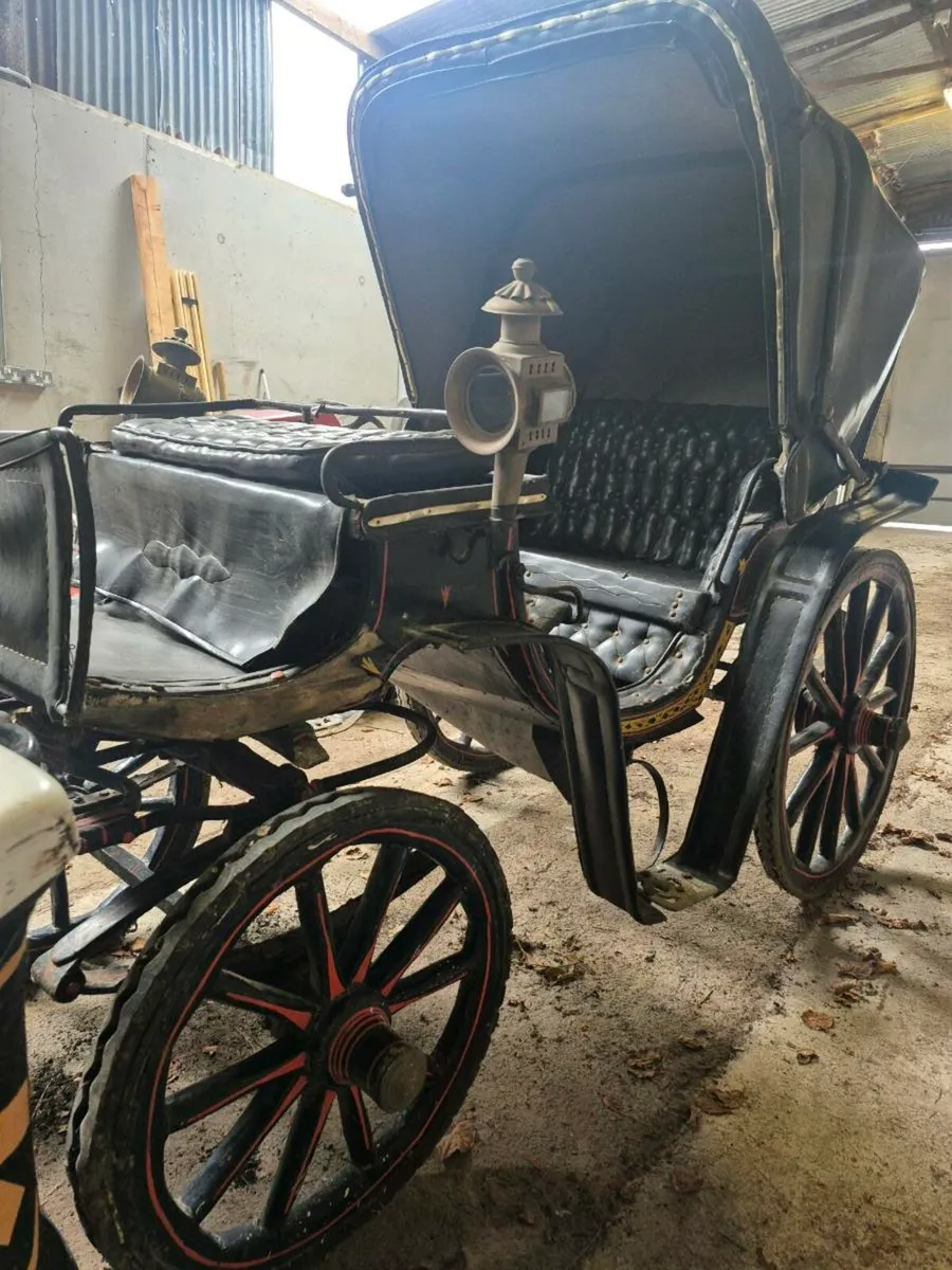 Carriage - Image 3