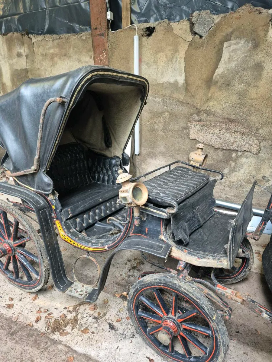 Carriage - Image 4