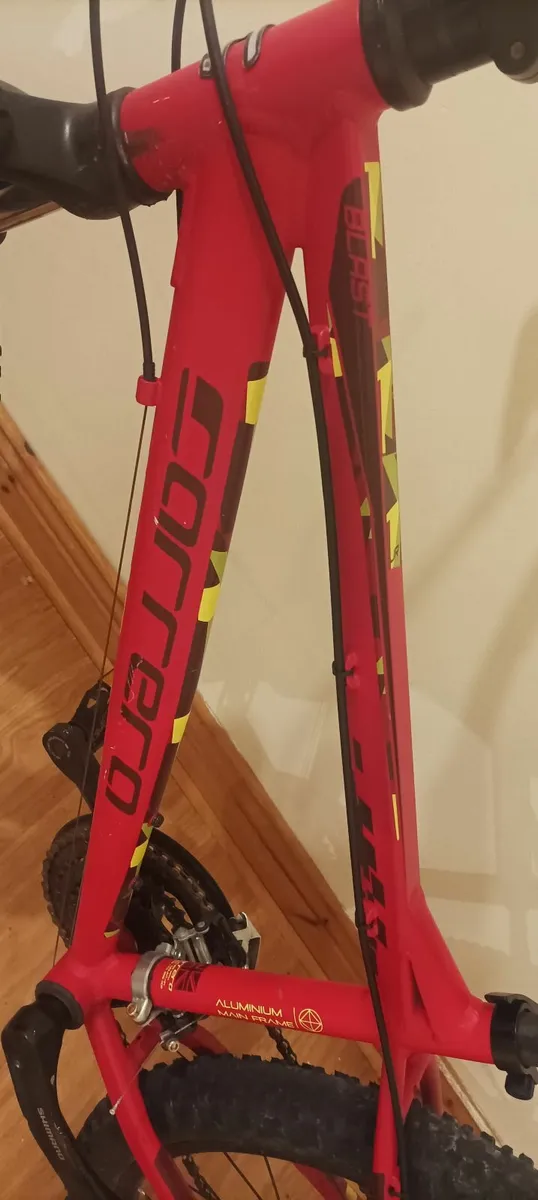 Carrera Mountain Bike for kids - Image 2