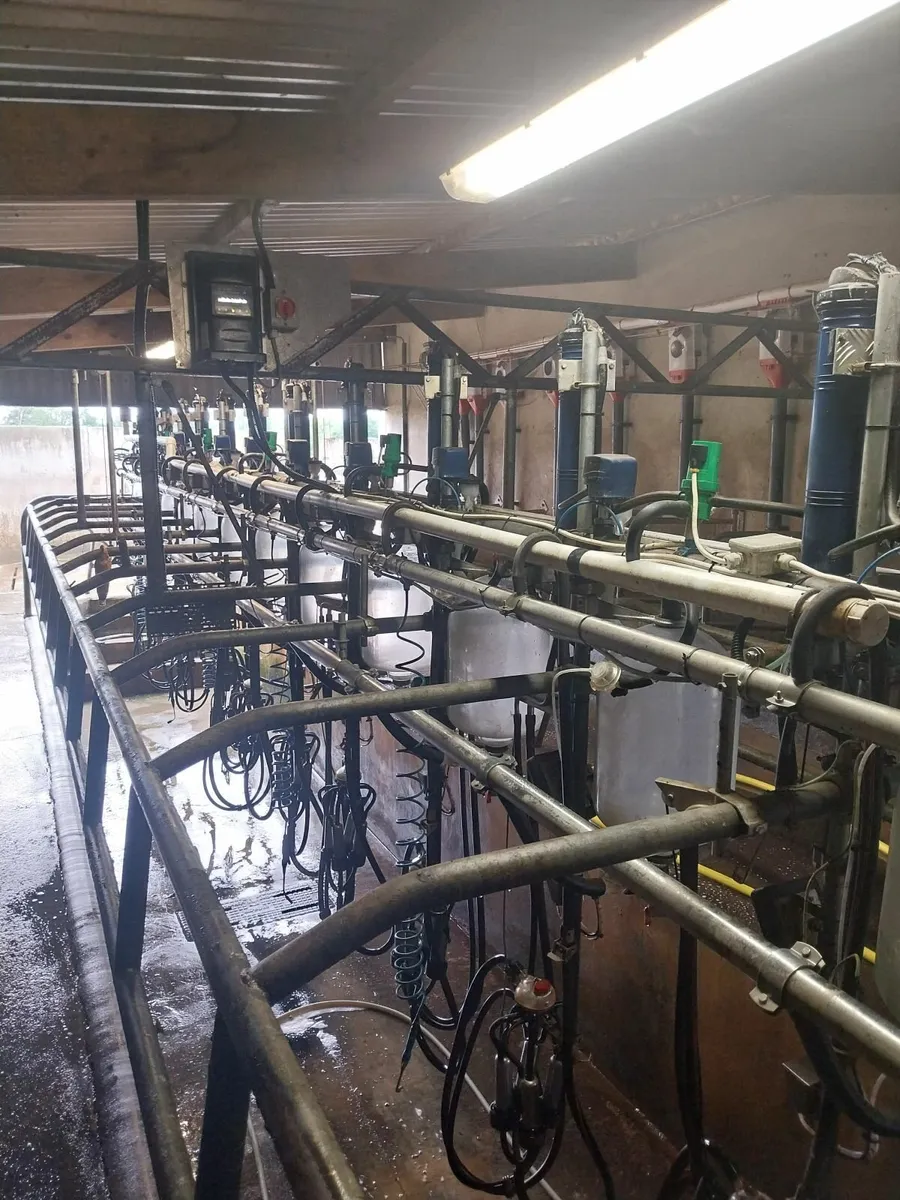 Milking parlour 12unit acrs - Image 3