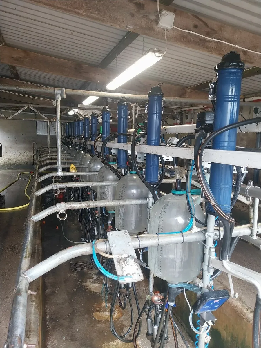 Milking parlour 12unit acrs - Image 2