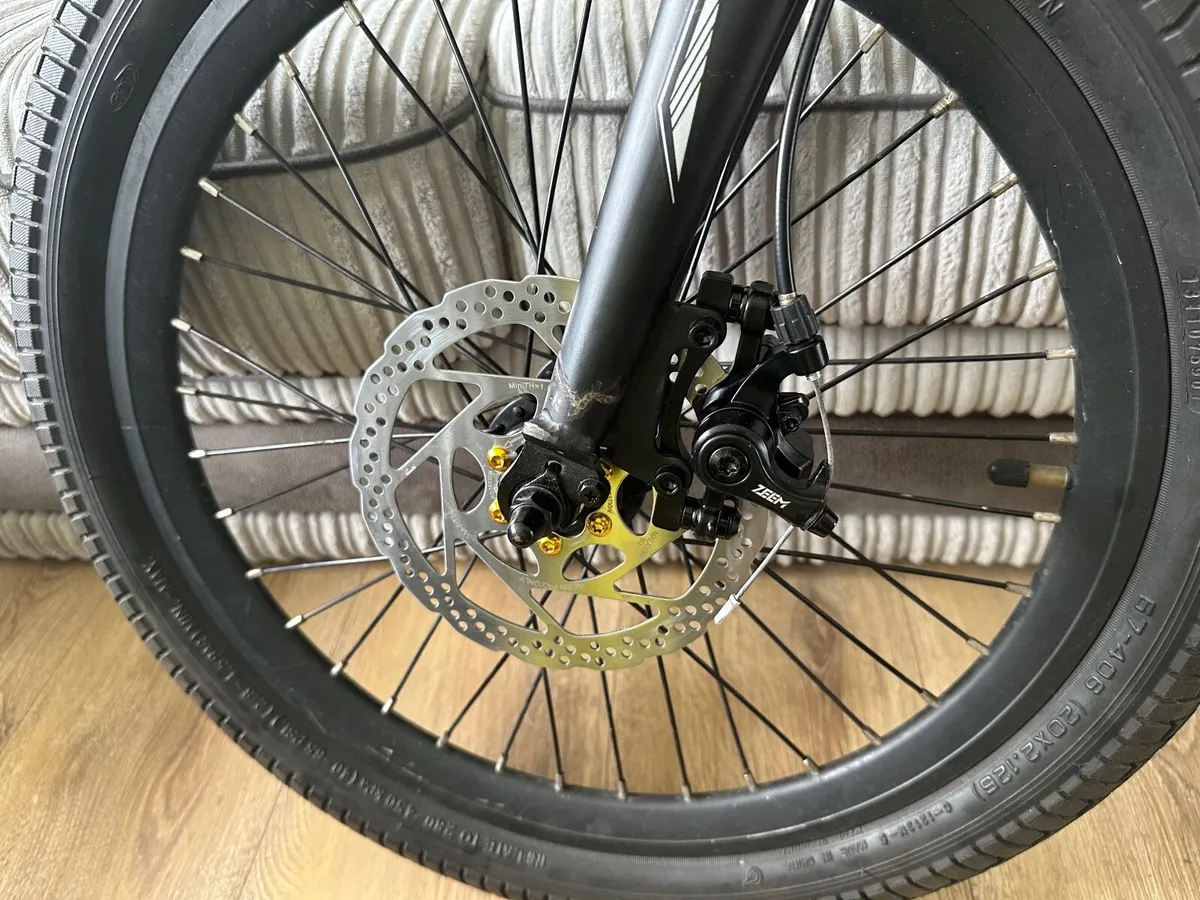 Electric Bike + kids trailer + €300 spare battery - Image 2