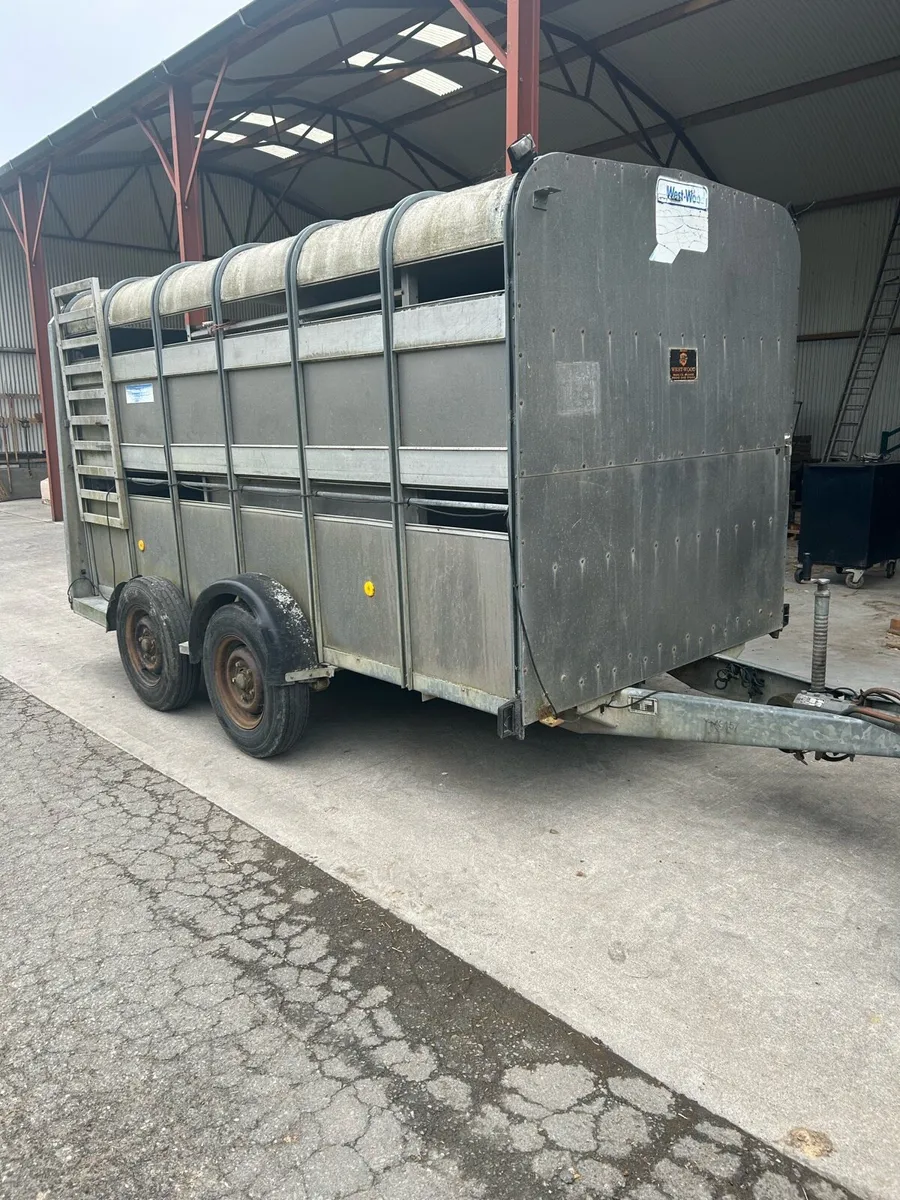 Ifor Williams Cattle trailer - Image 1