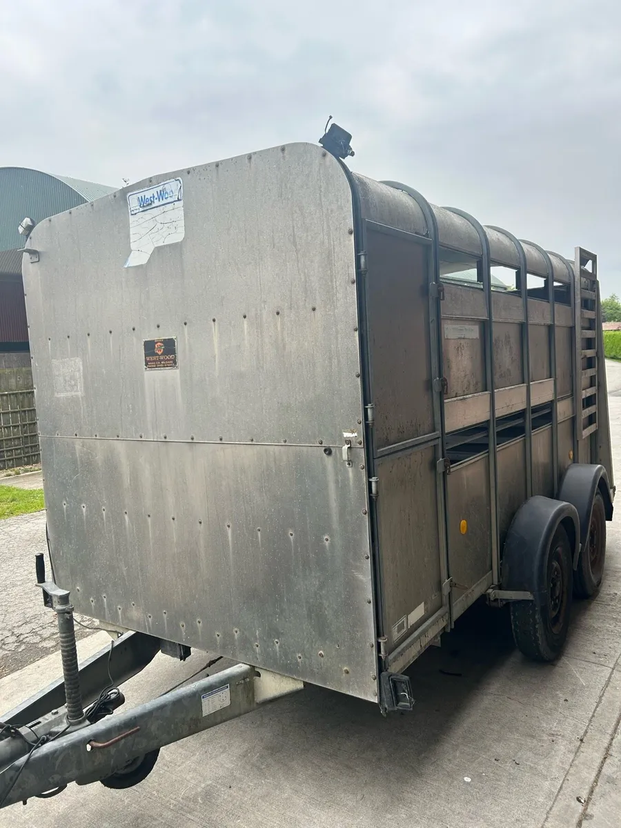 Ifor Williams Cattle trailer - Image 2
