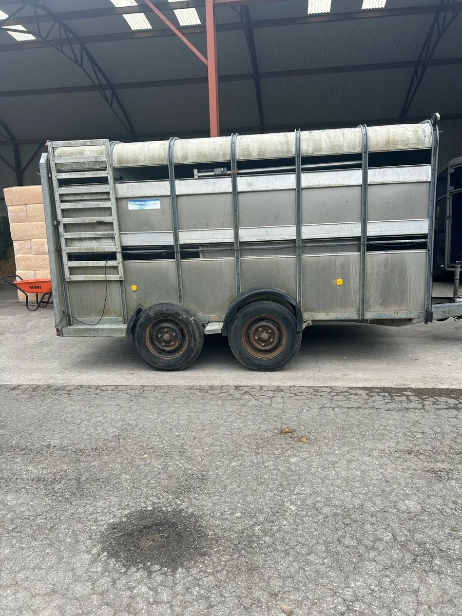 Ifor Williams Cattle trailer - Image 3