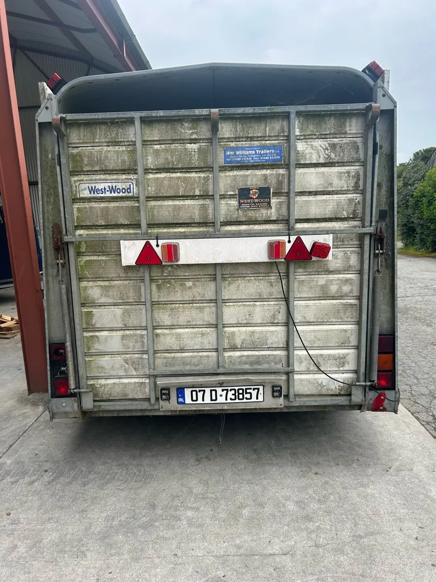 Ifor Williams Cattle trailer - Image 4