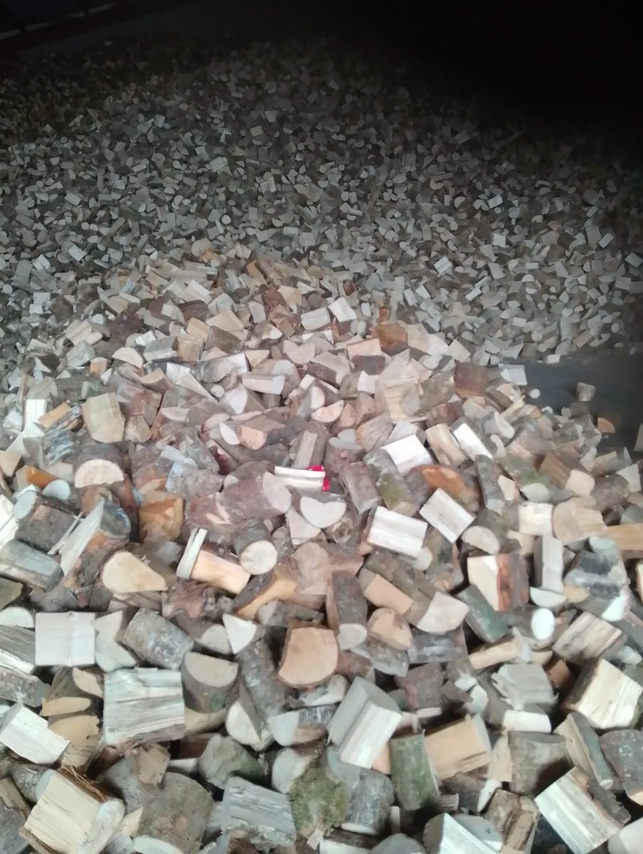 Firewood - Image 1