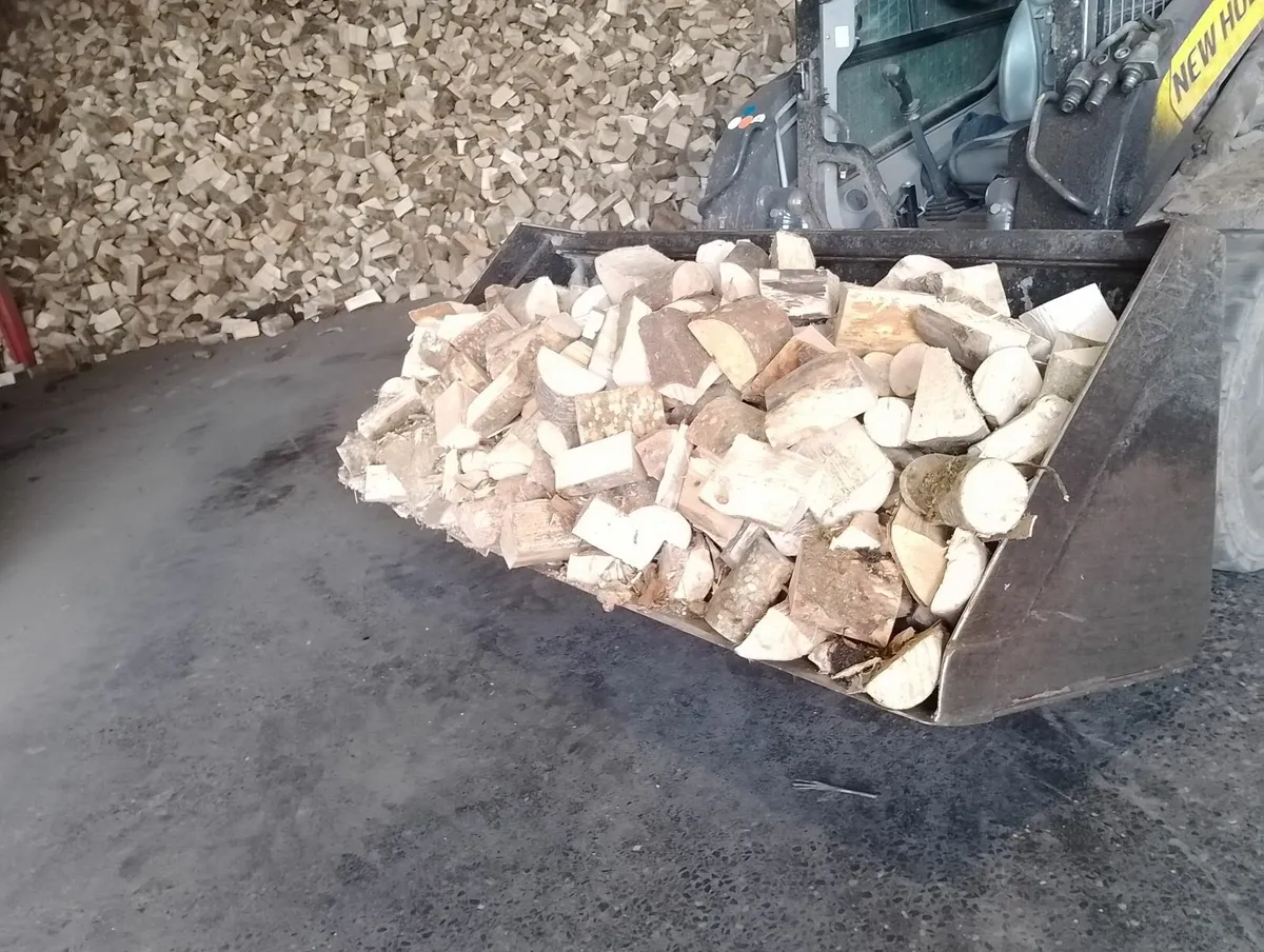 Firewood - Image 3