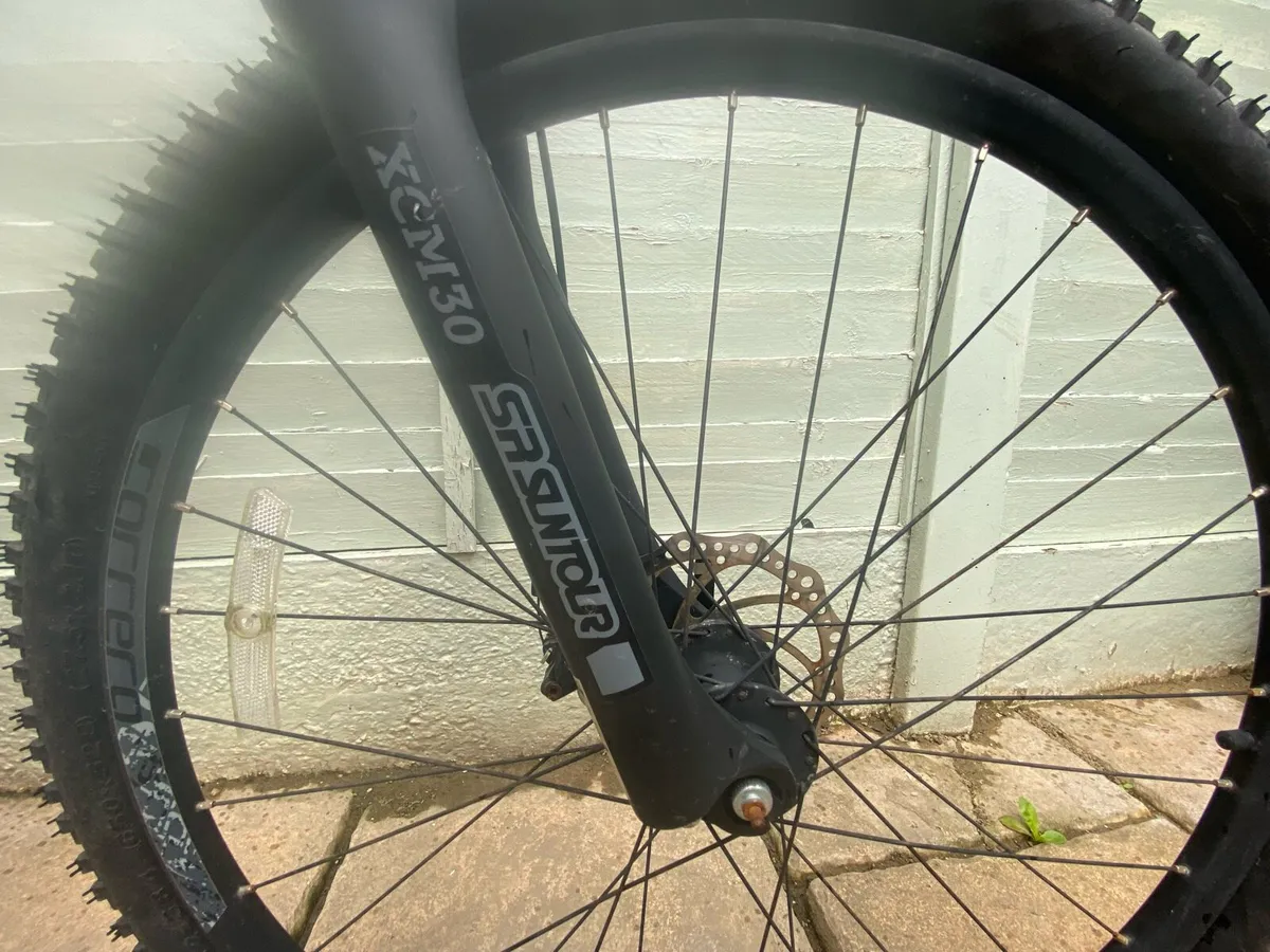 Carrera Vengeance - Image 4