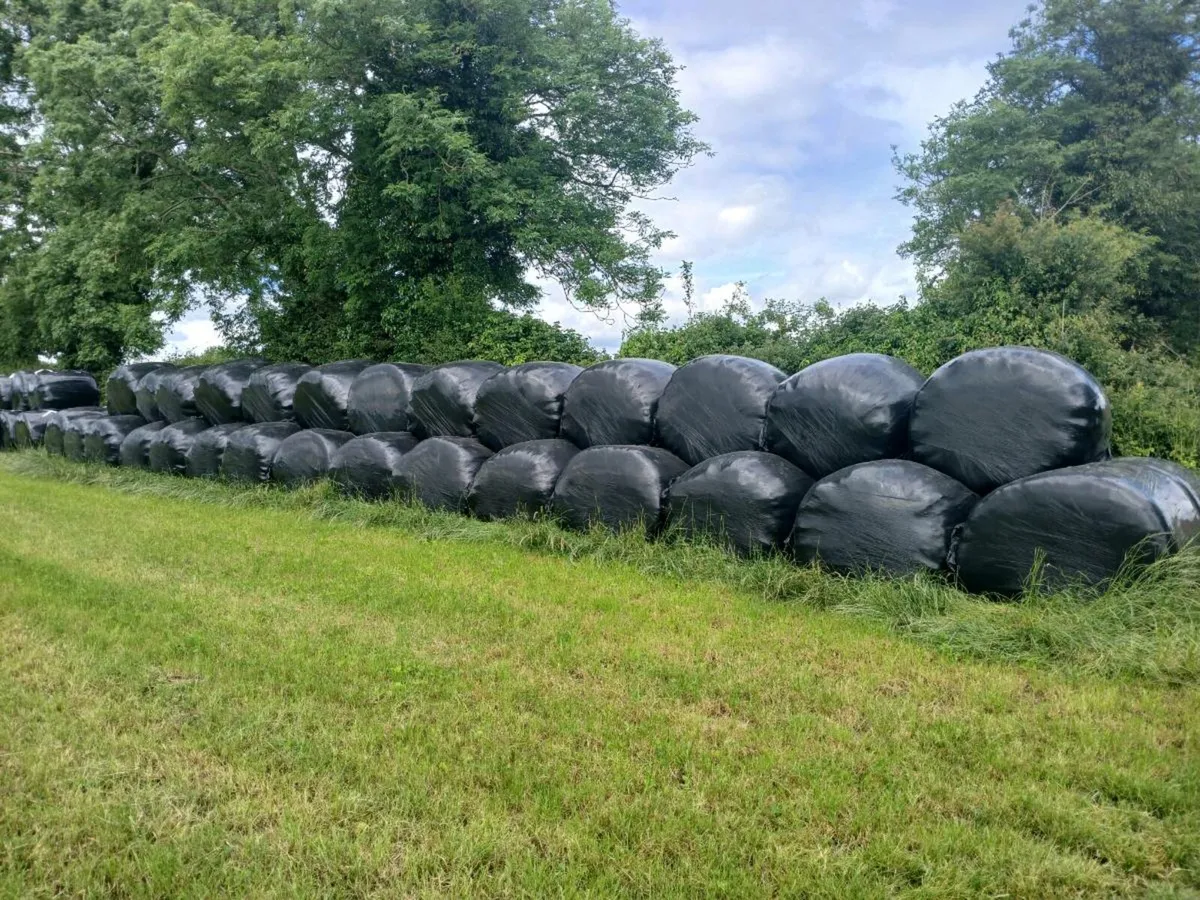 Silage - Image 1