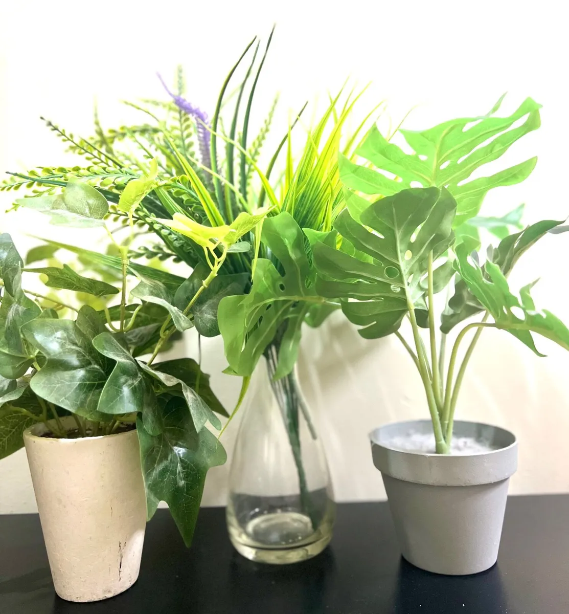 3 pack of plants - Image 1