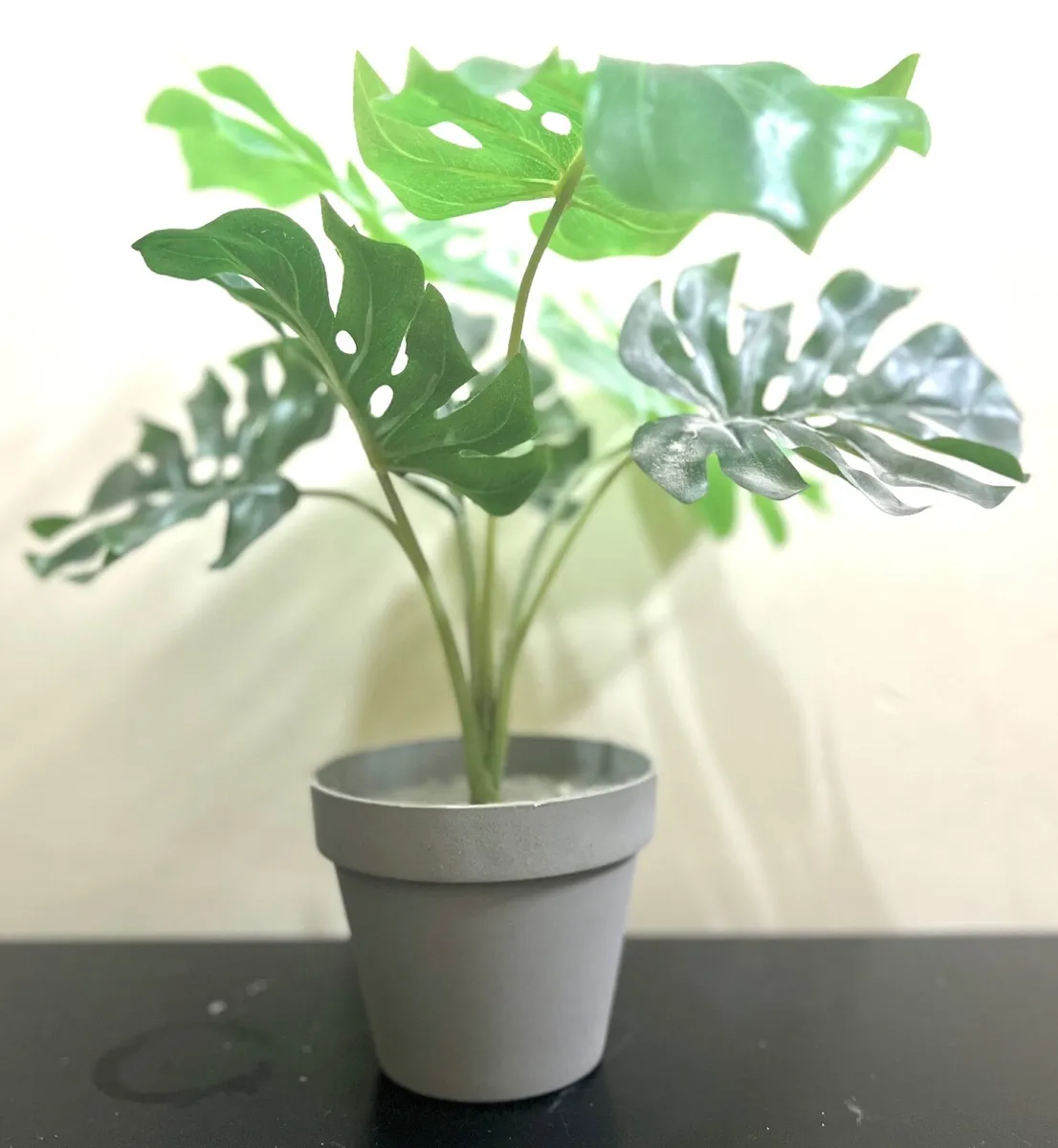 3 pack of plants - Image 2