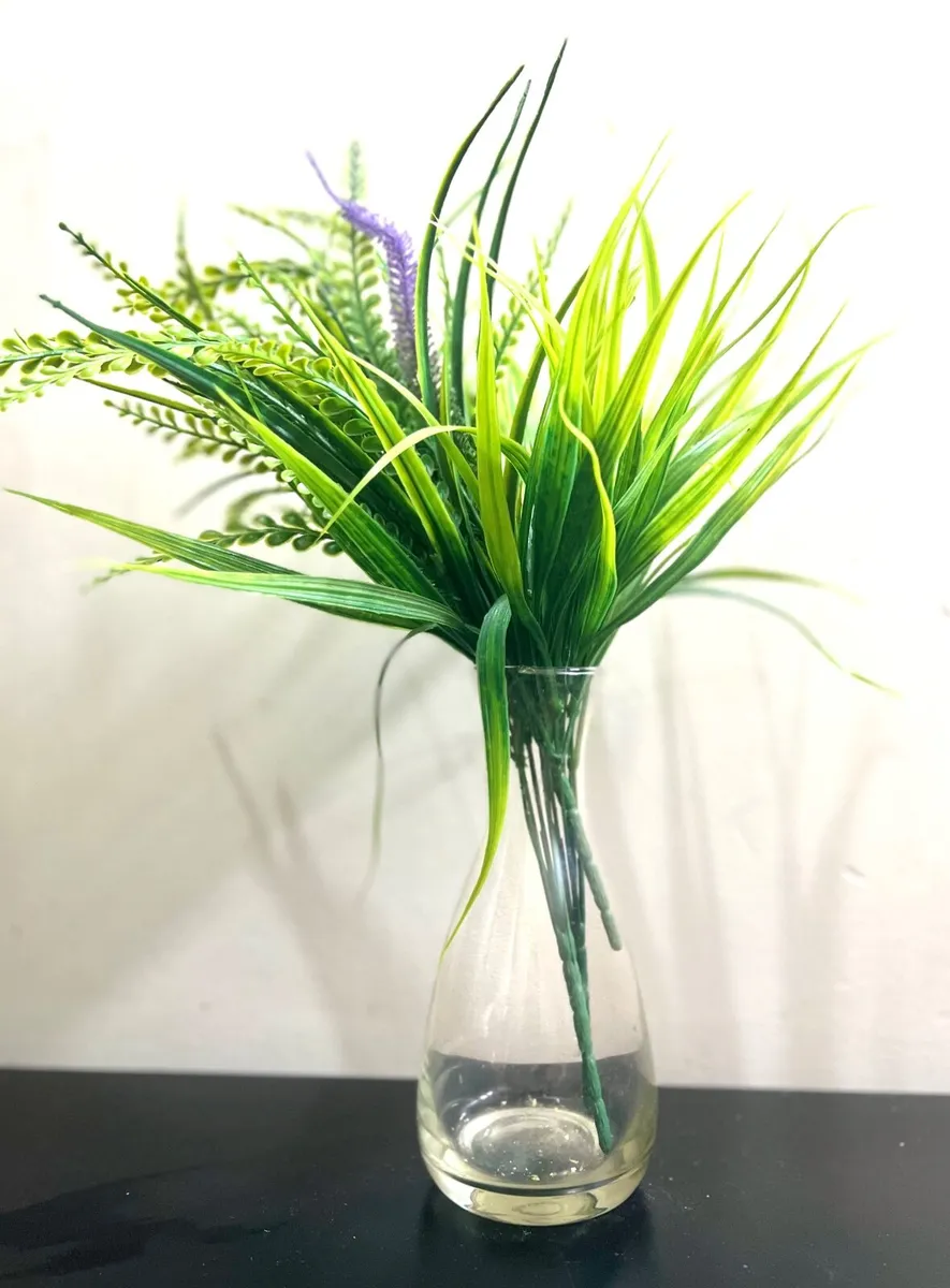 3 pack of plants - Image 3