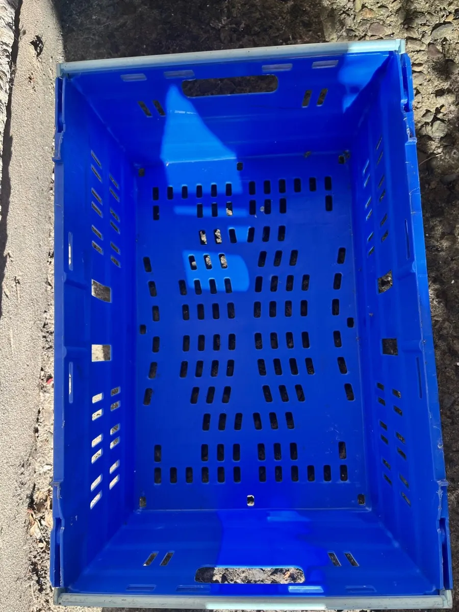 Hard plastic boxes - Image 2