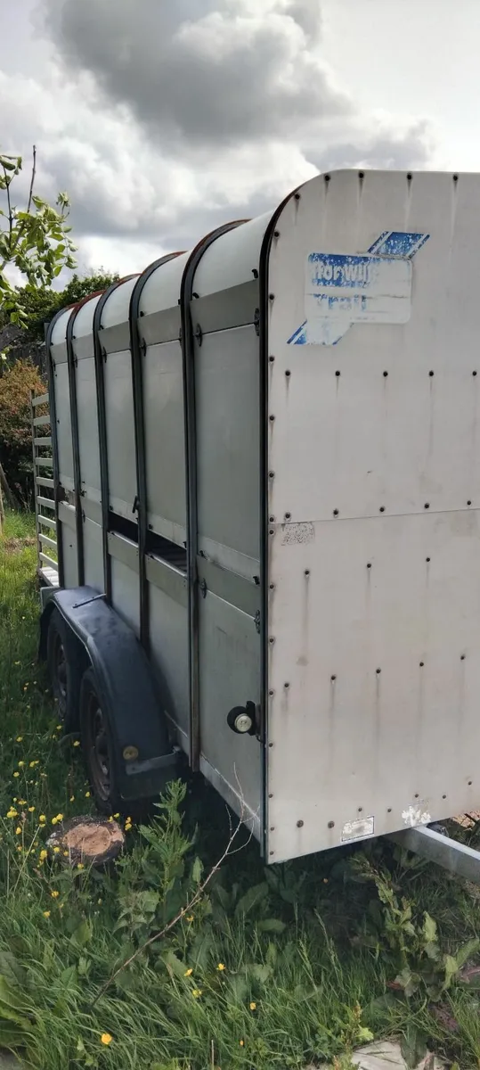 Ifor william trailer - Image 2