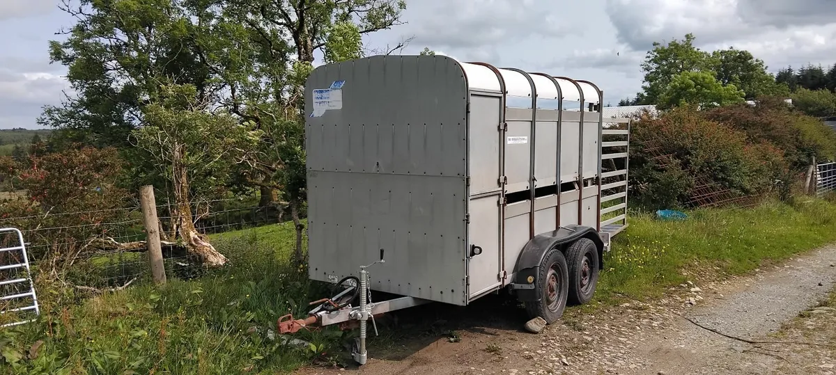 Ifor william trailer - Image 4