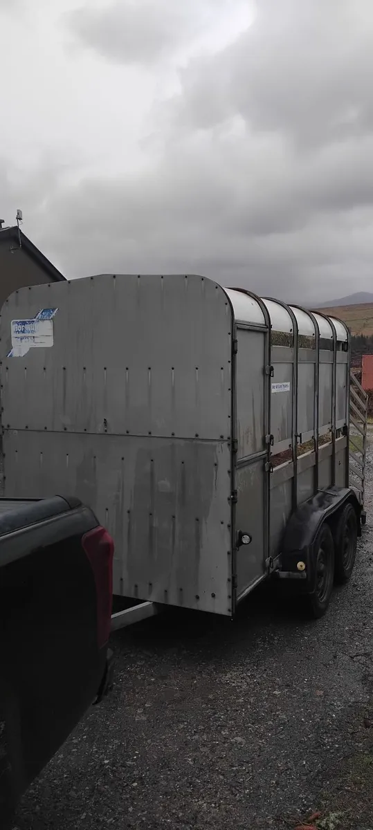Ifor william trailer - Image 1