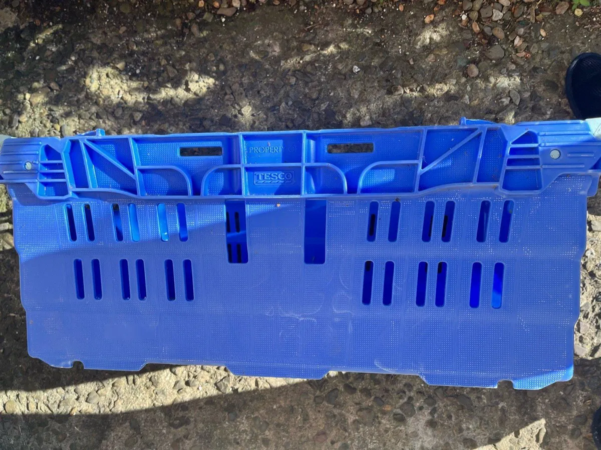 Hard plastic boxes - Image 1