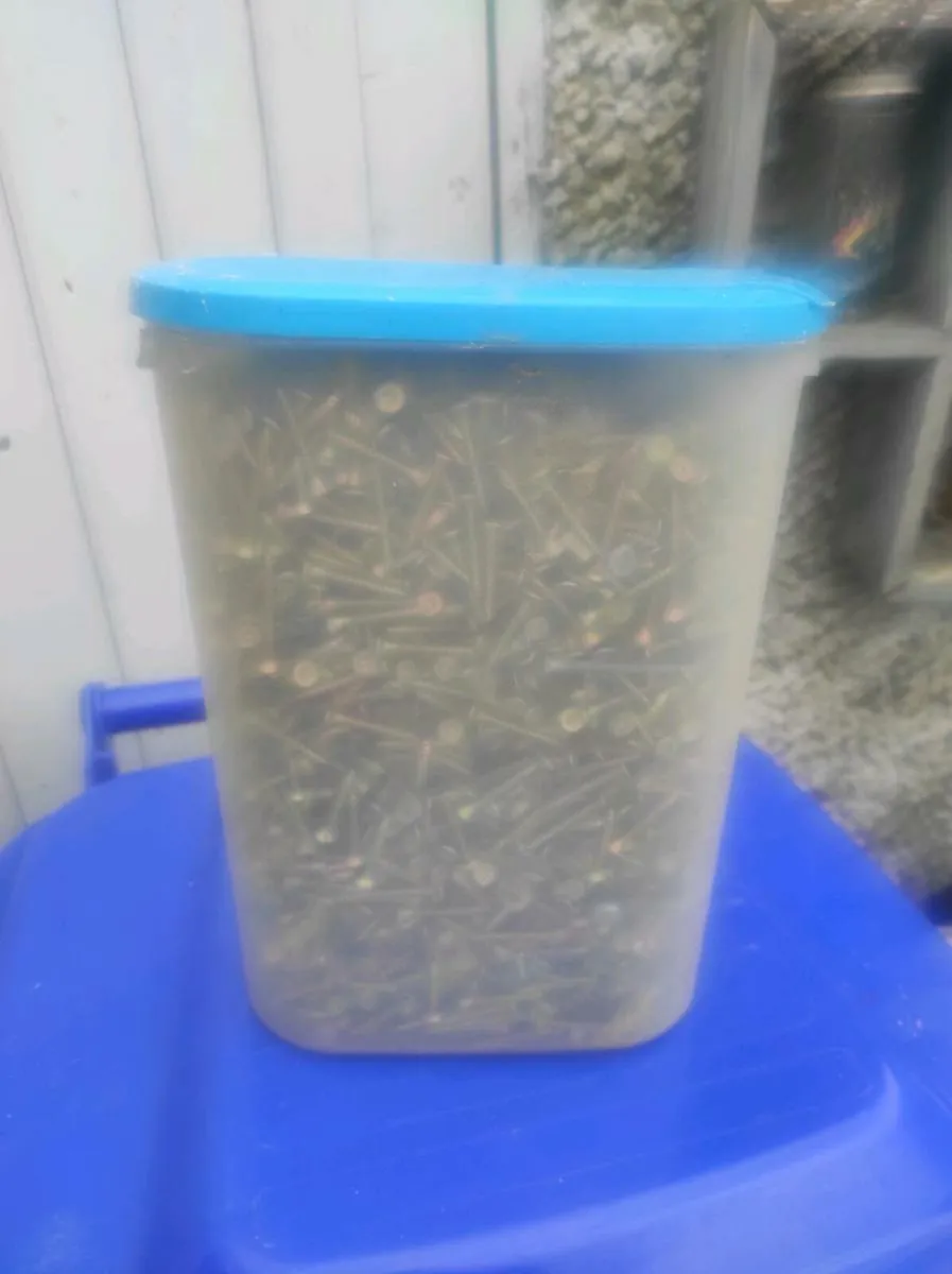 Tub of star head screws - Image 1
