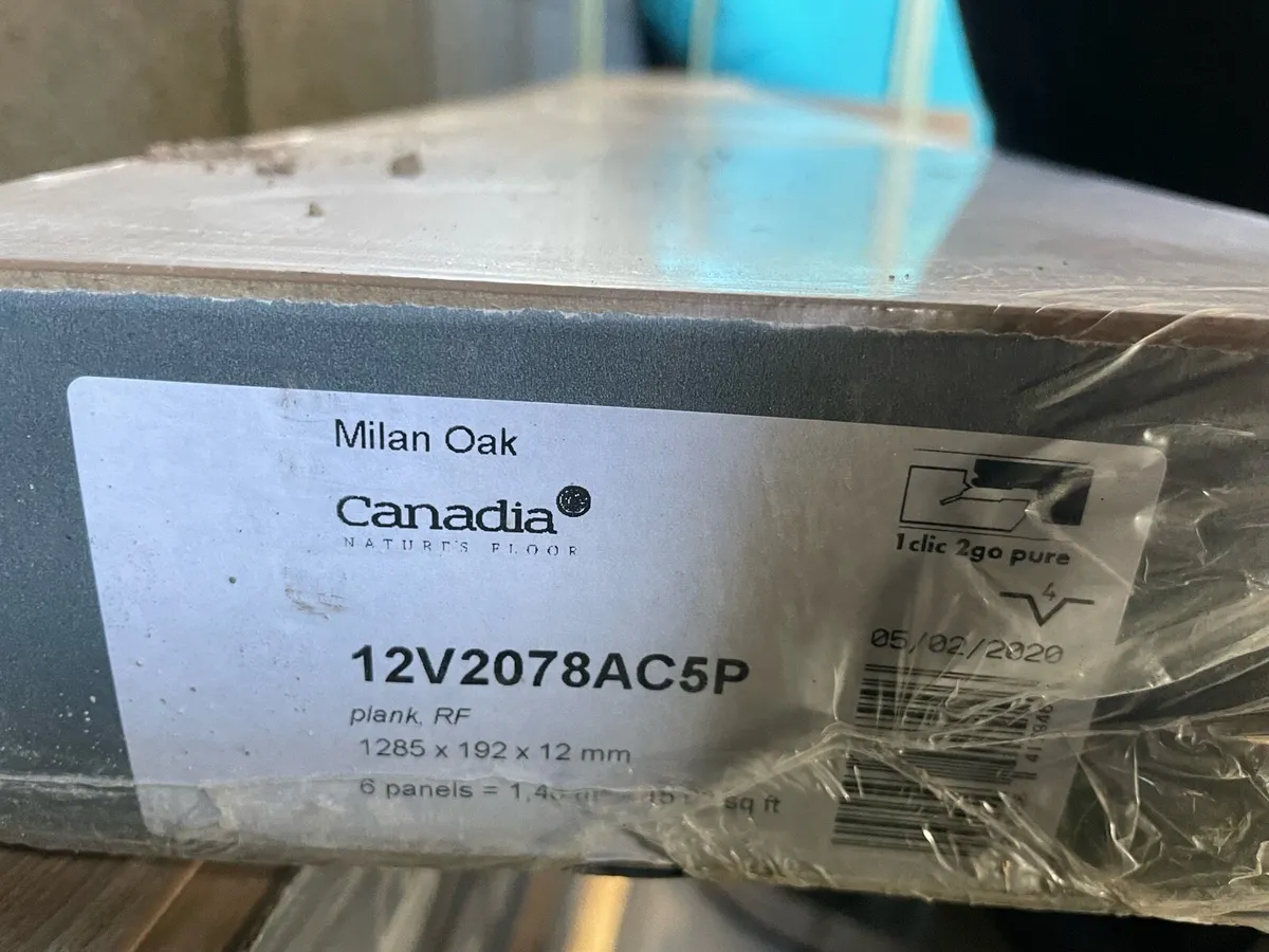Canadia Milan oak - Image 3