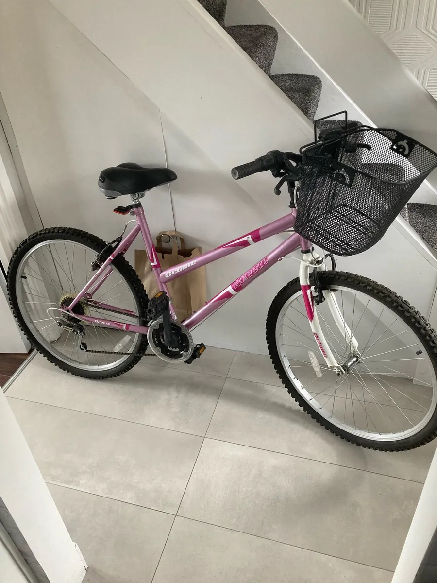 Ladies Bicycle - Image 1