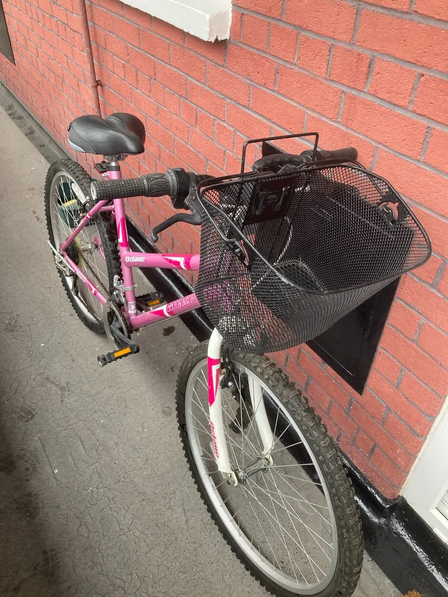 Ladies Bicycle - Image 2