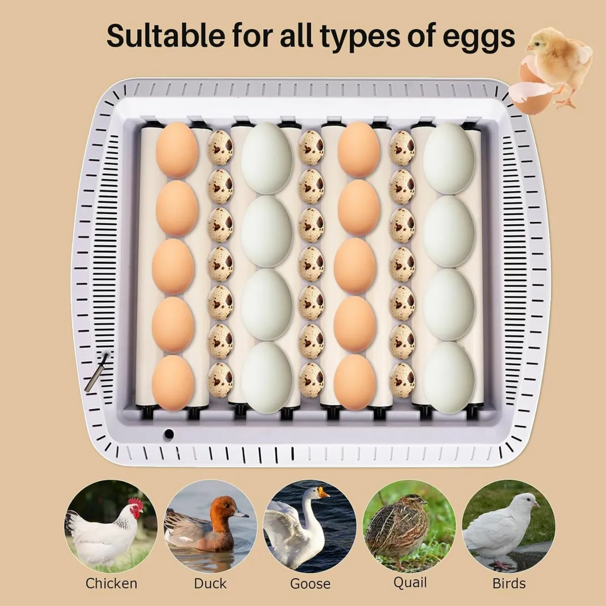 35 Egg Incubator with Auto Turn & Temp Control - Image 2