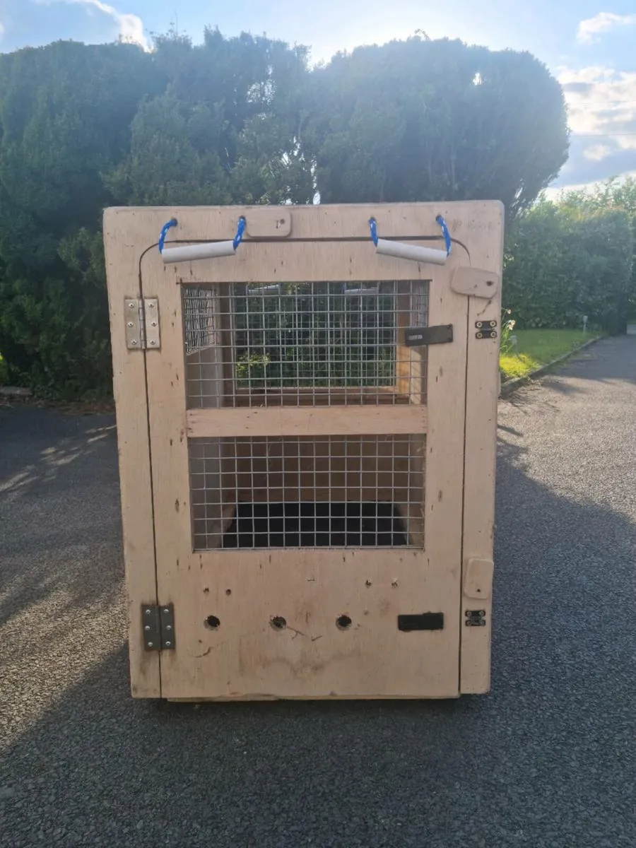 Large Pet Travel Crate - Airline Transit Approved - Image 2