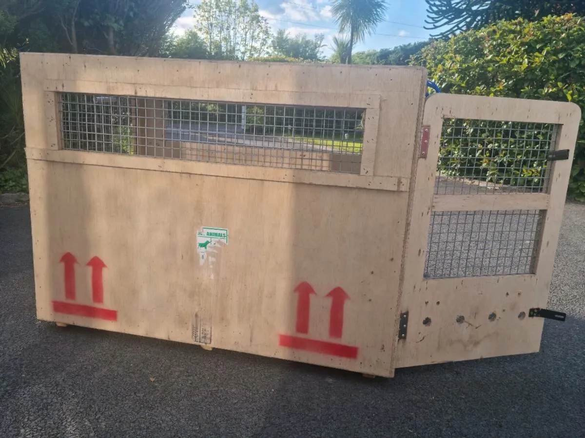 Large Pet Travel Crate - Airline Transit Approved - Image 3