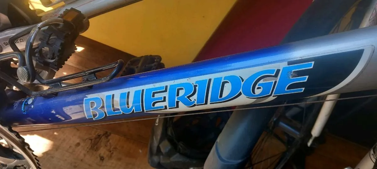 Bike - Image 2