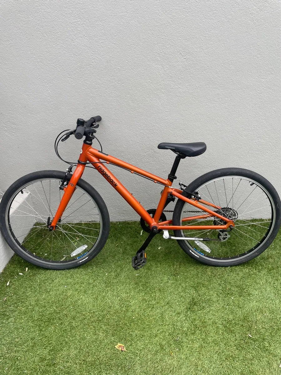 Bike - Image 1