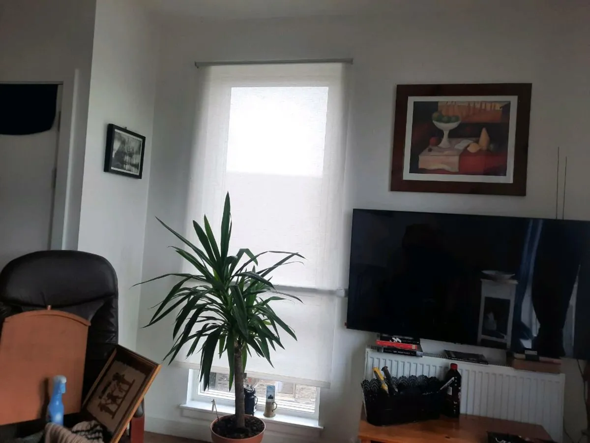 Painter/Floors available - Image 3