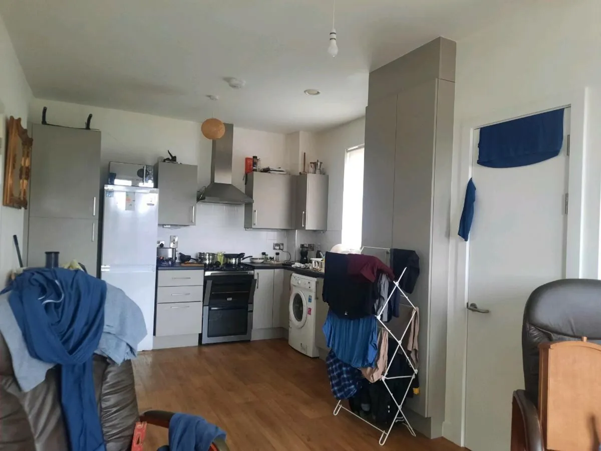 Painter/Floors available - Image 4