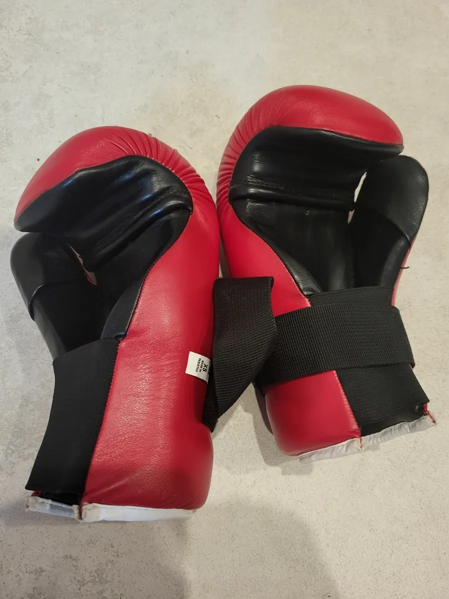 Martial Arts - Kids - Boxing Gloves. Top Ten . XS - Image 2