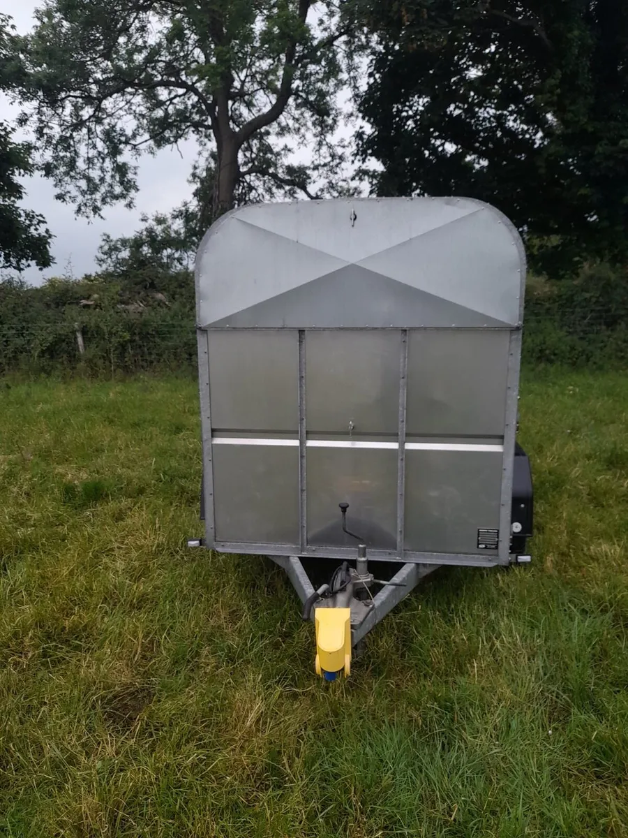 Murphys Cattle Trailer - Image 2