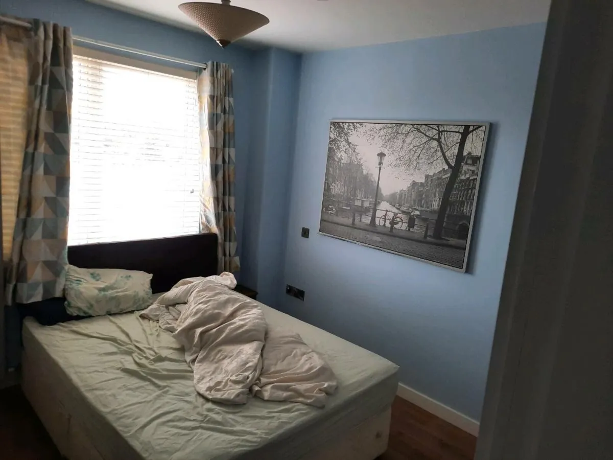 Painter/Floors available - Image 2