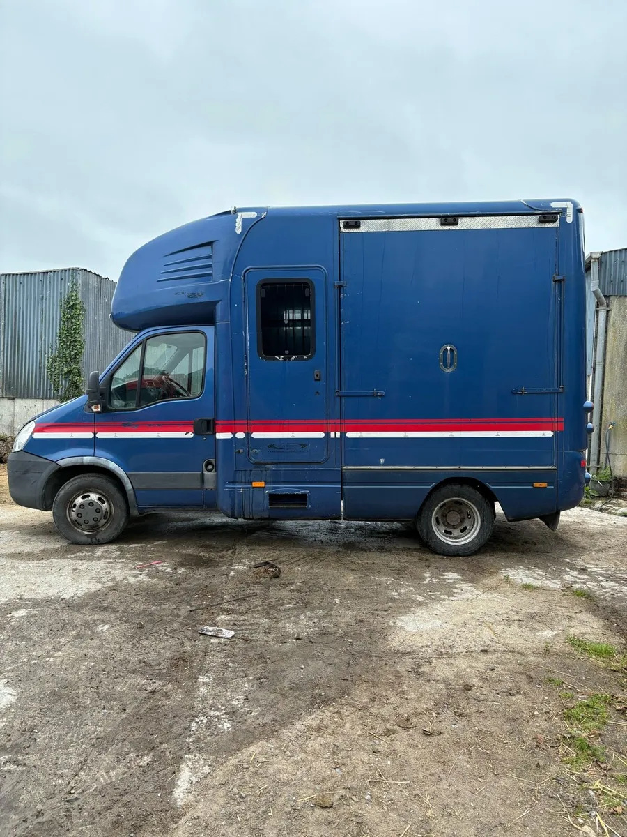 2 horse box horse truck - Image 2