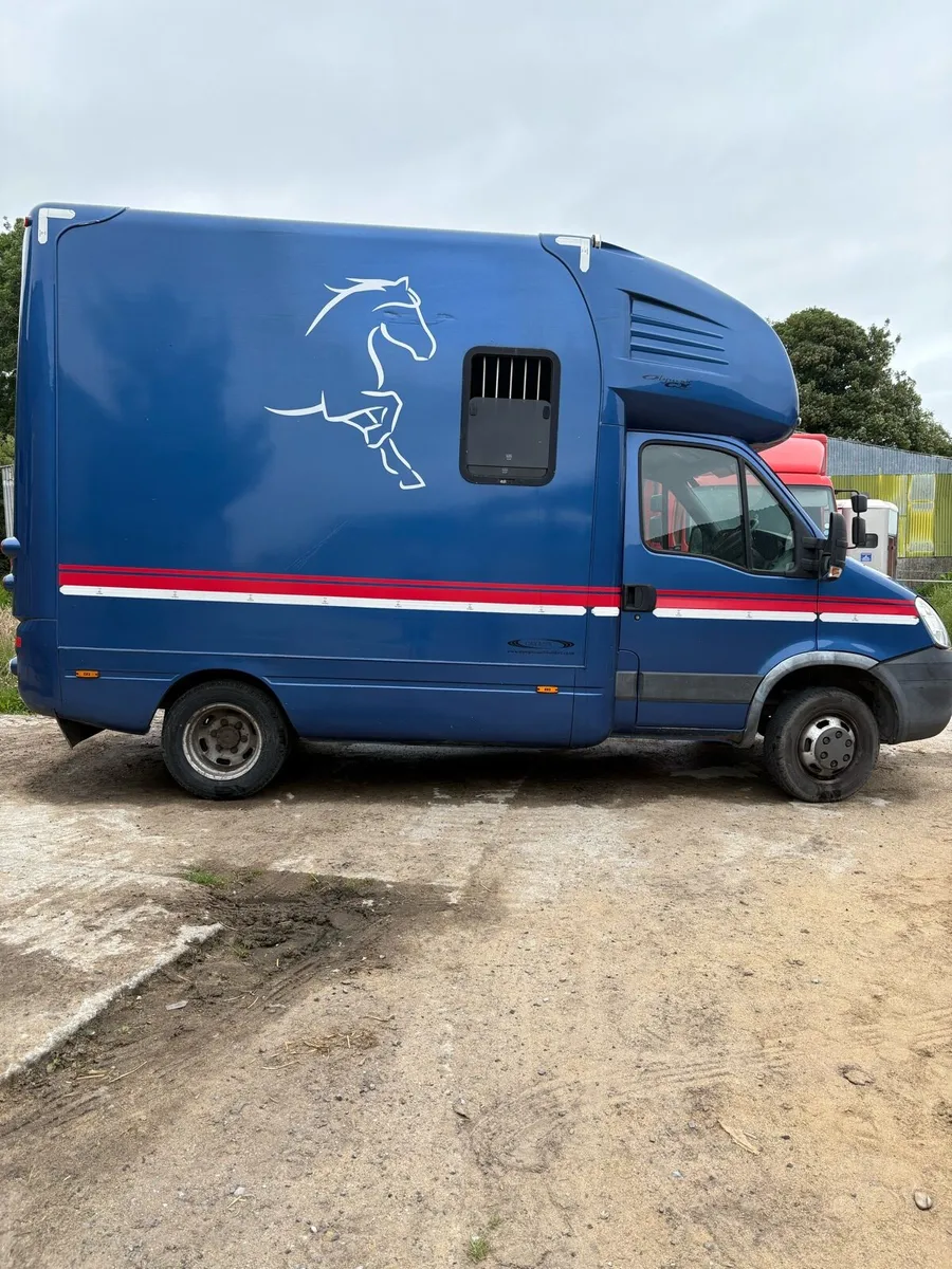 2 horse box horse truck - Image 3