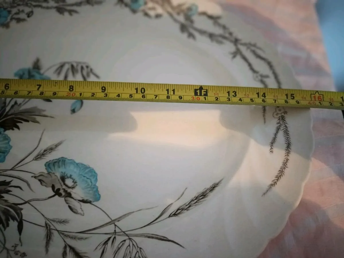 Vintage  Clarice Cliff Dinnerware  Platter - Image 4