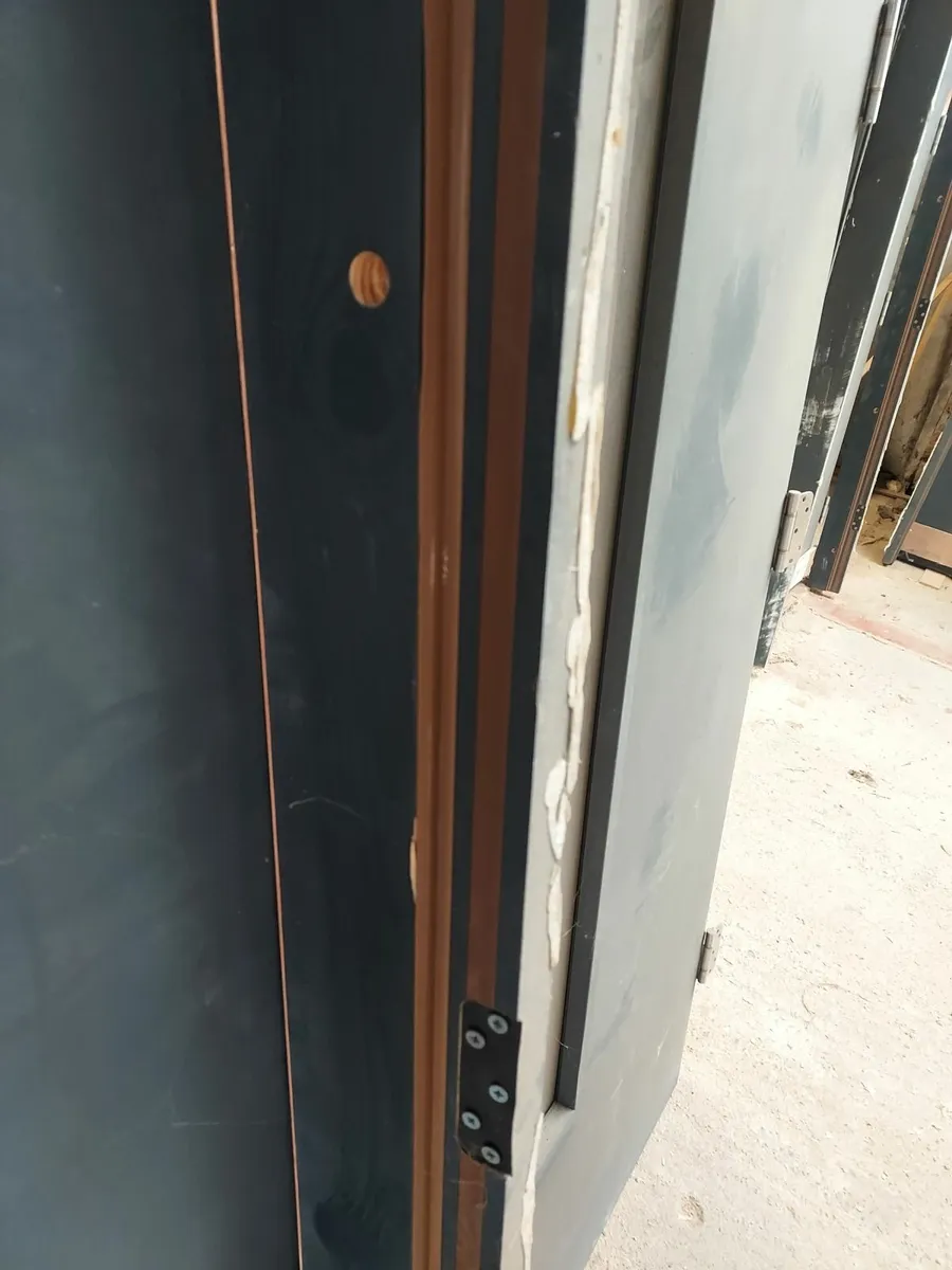 Fire doors - Image 3
