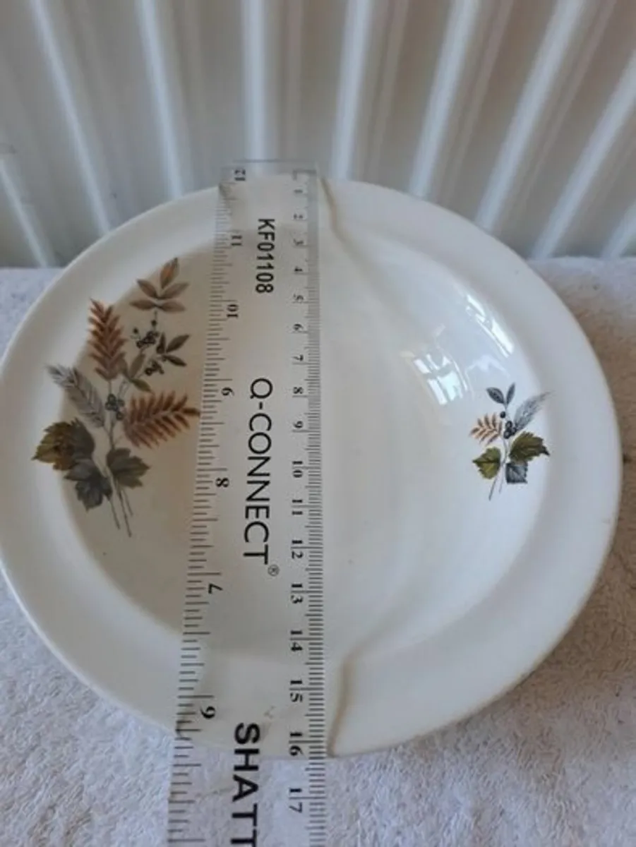 Vintage Alfred Clough Ltd plates - Image 2