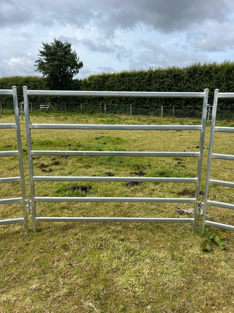 Livestock Panel Fencing - Image 2