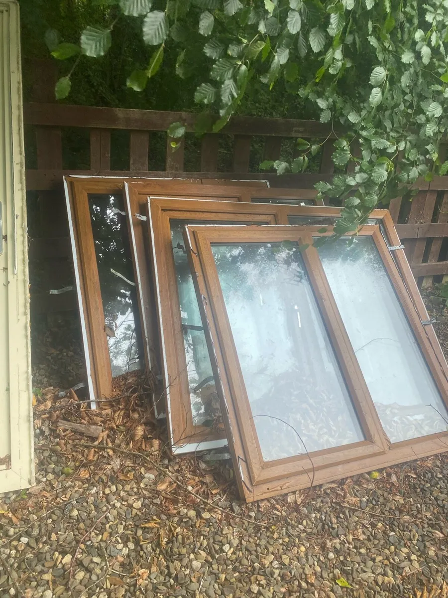 Windows and doors - Image 1