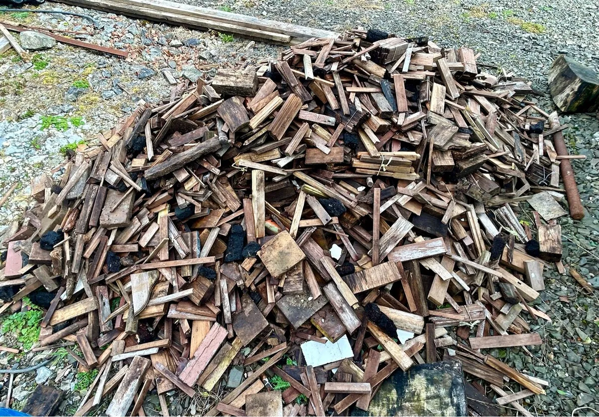 Kindling fire wood - Image 2