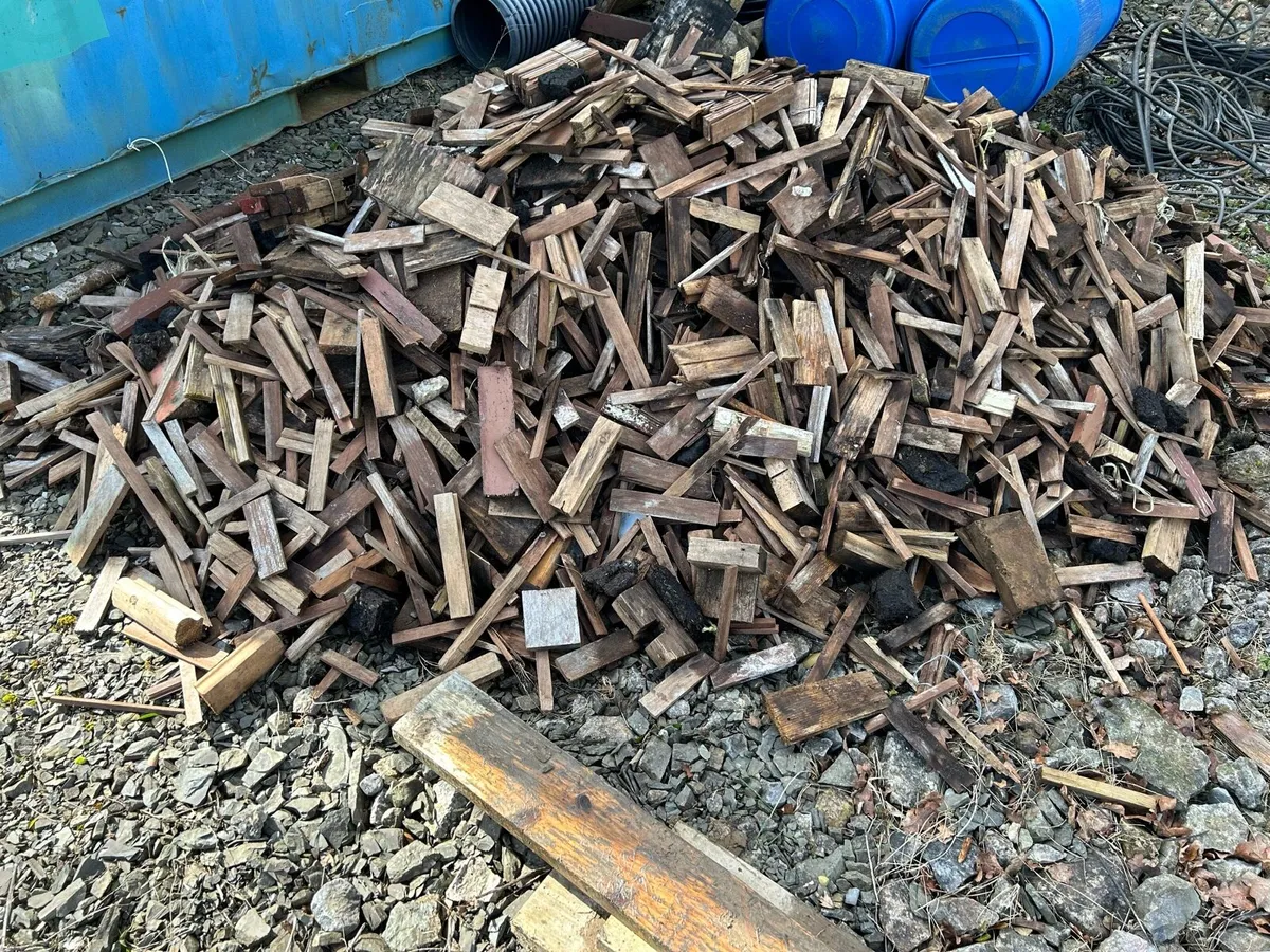 Kindling fire wood - Image 1